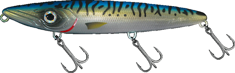 Fishus Espetit Goliath - MA - Mackerel Fishus Espetit Goliath -MA - Mackerel