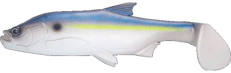 Fishus Cerberus Shad - HR - Herring Fishus Cerberus Shad -HR - Herring