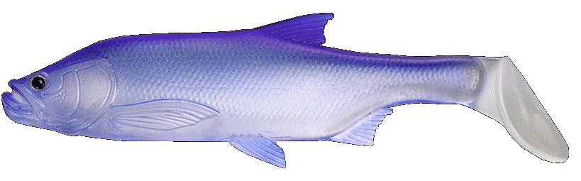Fishus Cerberus Shad - PG - Purple Ghost Fishus Cerberus Shad -PG - Purple Ghost