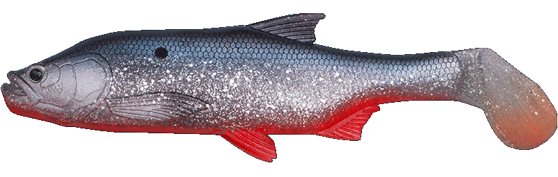 Fishus Cerberus Shad - RB - Red Belly Herring Fishus Cerberus Shad -RB - Red Belly Herring